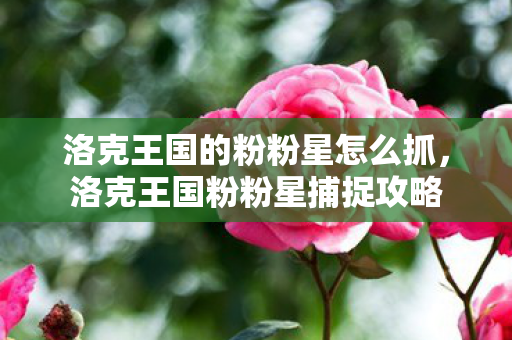 洛克王国的粉粉星怎么抓,洛克王国粉粉星捕捉攻略 洛克王国的粉粉星怎么抓,洛克王国粉粉星捕捉攻略