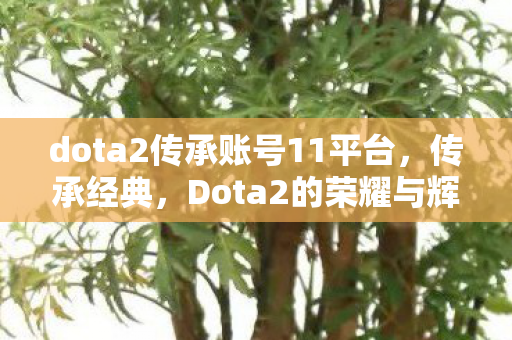 dota2传承账号11平台，传承经典，Dota2的荣耀与辉煌