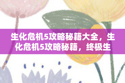 生化危机5攻略秘籍大全，生化危机5攻略秘籍，终极生存指南