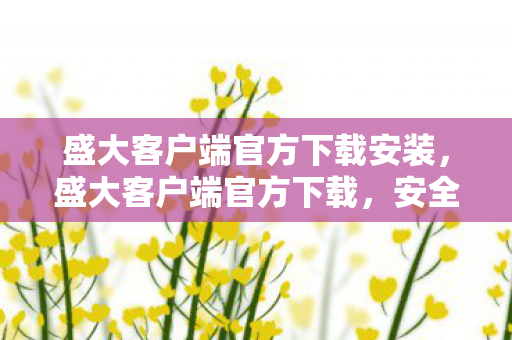 盛大客户端官方下载安装，盛大客户端官方下载，安全、便捷的游戏体验