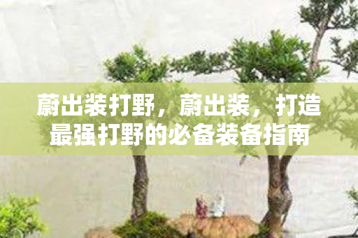 蔚出装打野,蔚出装,打造最强打野的必备装备指南 蔚出装打野,蔚出装,打造最强打野的必备装备指南