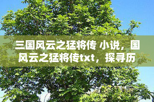三国风云之猛将传 小说,国风云之猛将传txt,探寻历史长河中的英雄传奇 三国风云之猛将传 小说,国风云之猛将传txt,探寻历史长河中的英雄传奇