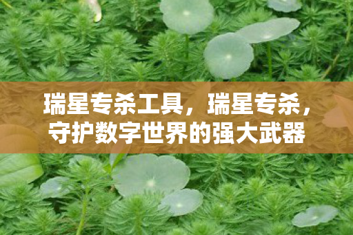 瑞星专杀工具,瑞星专杀,守护数字世界的强大武器 瑞星专杀工具,瑞星专杀,守护数字世界的强大武器