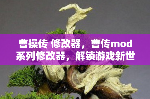 曹操传 修改器,曹传mod系列修改器,解锁游戏新世界的钥匙 曹操传 修改器,曹传mod系列修改器,解锁游戏新世界的钥匙