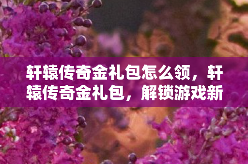 轩辕传奇金礼包怎么领,轩辕传奇金礼包,解锁游戏新世界的神秘钥匙 轩辕传奇金礼包怎么领,轩辕传奇金礼包,解锁游戏新世界的神秘钥匙