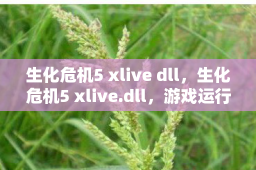生化危机5 xlive dll,生化危机5 xlive.dll,游戏运行的关键与修复指南 生化危机5 xlive dll,生化危机5 xlive.dll,游戏运行的关键与修复指南