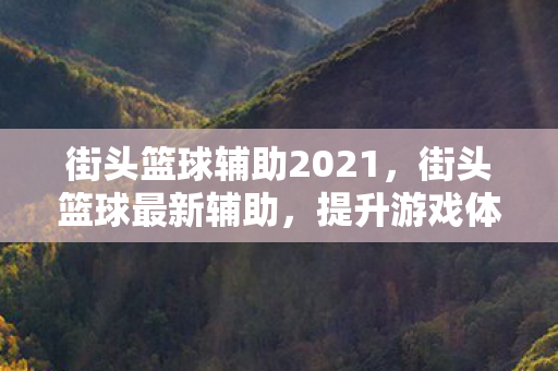 街头篮球辅助2021,街头篮球最新辅助,提升游戏体验的利器 街头篮球辅助2021,街头篮球最新辅助,提升游戏体验的利器