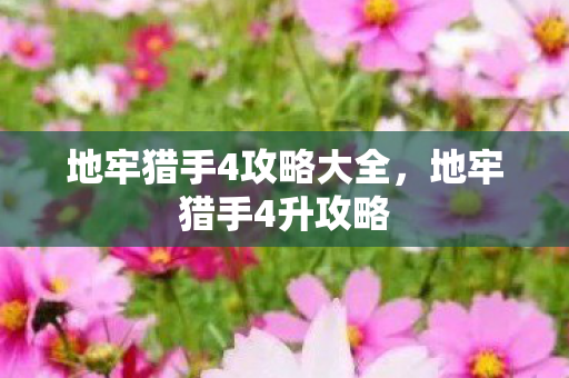 地牢猎手4攻略大全，地牢猎手4升攻略