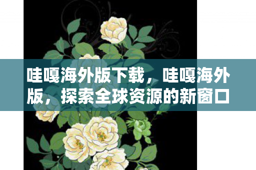 哇嘎海外版下载，哇嘎海外版，探索全球资源的新窗口