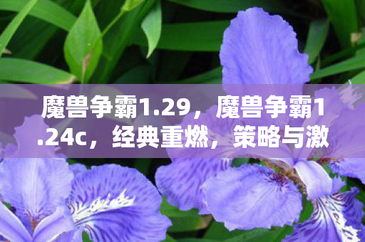 魔兽争霸1.29，魔兽争霸1.24c，经典重燃，策略与激情的碰撞