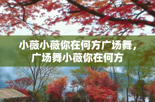 小薇小薇你在何方广场舞,广场舞小薇你在何方 小薇小薇你在何方广场舞,广场舞小薇你在何方