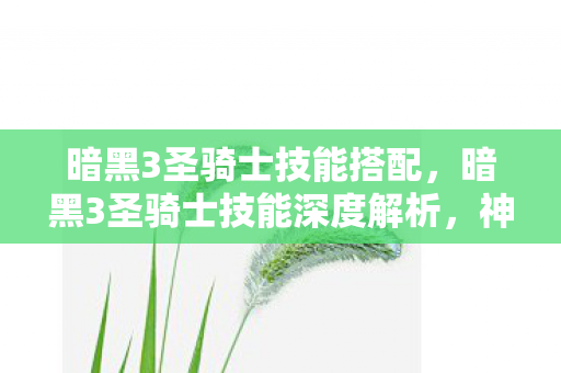 暗黑3圣骑士技能搭配，暗黑3圣骑士技能深度解析，神圣之盾与复仇之怒
