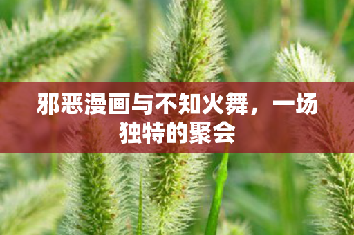邪恶漫画与不知火舞,一场独特的聚会 邪恶漫画与不知火舞,一场独特的聚会