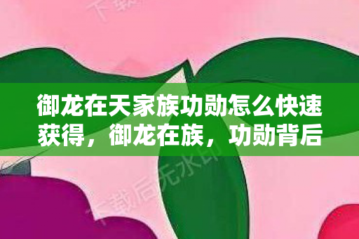 御龙在天家族功勋怎么快速获得,御龙在族,功勋背后的荣耀与梦想 御龙在天家族功勋怎么快速获得,御龙在族,功勋背后的荣耀与梦想
