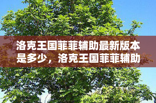 洛克王国菲菲辅助最新版本是多少,洛克王国菲菲辅助最新版,提升游戏体验的得力助手 洛克王国菲菲辅助最新版本是多少,洛克王国菲菲辅助最新版,提升游戏体验的得力助手