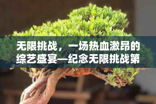 无限挑战,一场热血激昂的综艺盛宴—纪念无限挑战第131026期 无限挑战,一场热血激昂的综艺盛宴—纪念无限挑战第131026期