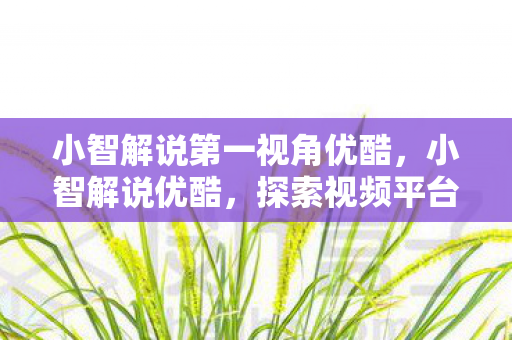 小智解说第一视角优酷,小智解说优酷,探索视频平台的无限可能 小智解说第一视角优酷,小智解说优酷,探索视频平台的无限可能