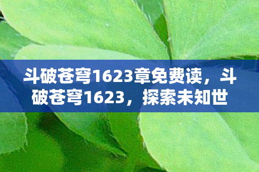 斗破苍穹1623章免费读,斗破苍穹1623,探索未知世界的奇幻之旅 斗破苍穹1623章免费读,斗破苍穹1623,探索未知世界的奇幻之旅