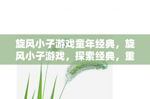旋风小子游戏童年经典,旋风小子游戏,探索经典,重温童年回忆 旋风小子游戏童年经典,旋风小子游戏,探索经典,重温童年回忆