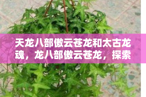 天龙八部傲云苍龙和太古龙魂,龙八部傲云苍龙,探索游戏世界的奇幻之旅 天龙八部傲云苍龙和太古龙魂,龙八部傲云苍龙,探索游戏世界的奇幻之旅
