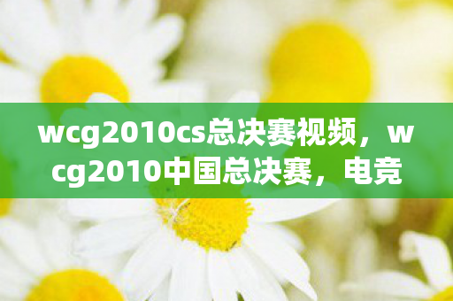 wcg2010cs总决赛视频,wcg2010中国总决赛,电竞巅峰的荣耀与梦想 wcg2010cs总决赛视频,wcg2010中国总决赛,电竞巅峰的荣耀与梦想