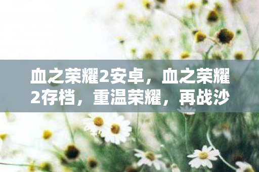 血之荣耀2安卓,血之荣耀2存档,重温荣耀,再战沙场 血之荣耀2安卓,血之荣耀2存档,重温荣耀,再战沙场