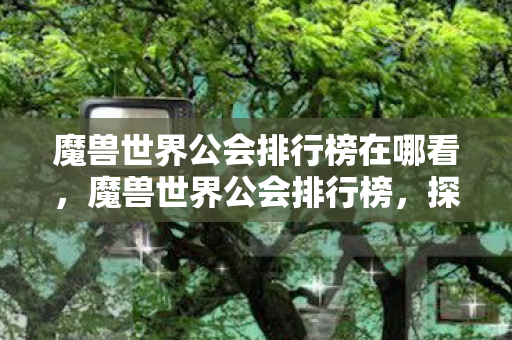魔兽世界公会排行榜在哪看,魔兽世界公会排行榜,探索艾泽拉斯的荣耀与团结 魔兽世界公会排行榜在哪看,魔兽世界公会排行榜,探索艾泽拉斯的荣耀与团结