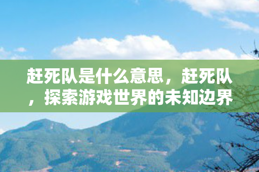 赶死队是什么意思，赶死队，探索游戏世界的未知边界