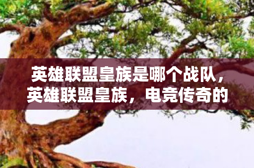 英雄联盟皇族是哪个战队,英雄联盟皇族,电竞传奇的崛起与辉煌 英雄联盟皇族是哪个战队,英雄联盟皇族,电竞传奇的崛起与辉煌