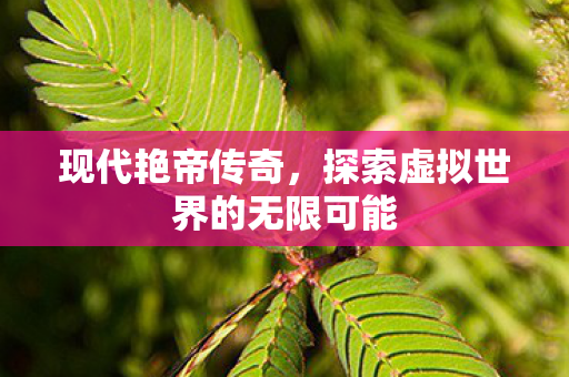 现代艳帝传奇,探索虚拟世界的无限可能 现代艳帝传奇,探索虚拟世界的无限可能