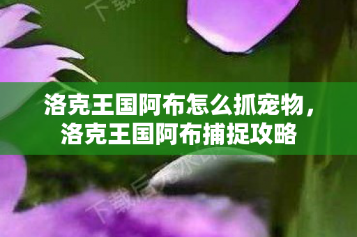 洛克王国阿布怎么抓宠物，洛克王国阿布捕捉攻略