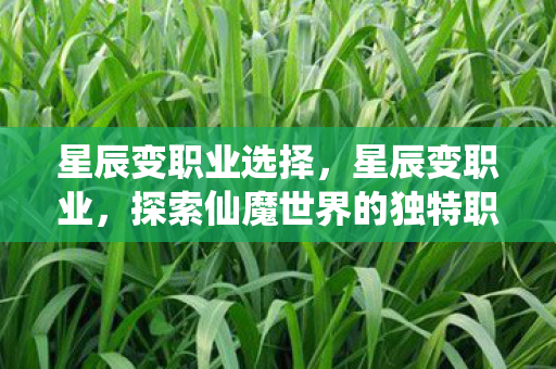星辰变职业选择,星辰变职业,探索仙魔世界的独特职业体系 星辰变职业选择,星辰变职业,探索仙魔世界的独特职业体系