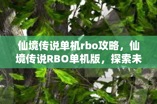 仙境传说单机rbo攻略,仙境传说RBO单机版,探索未知世界的奇妙之旅 仙境传说单机rbo攻略,仙境传说RBO单机版,探索未知世界的奇妙之旅