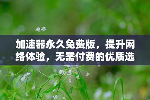 加速器永久免费版,提升网络体验,无需付费的优质选择 加速器永久免费版,提升网络体验,无需付费的优质选择