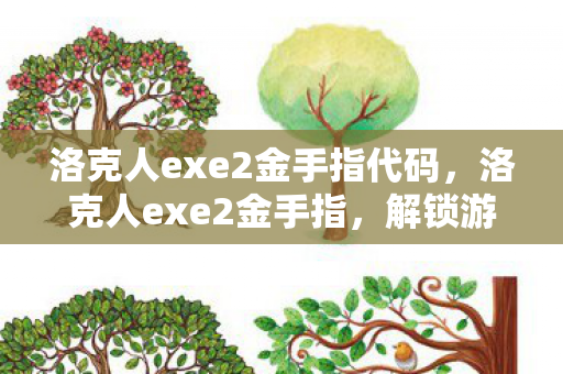 洛克人exe2金手指代码,洛克人exe2金手指,解锁游戏潜能的神奇钥匙 洛克人exe2金手指代码,洛克人exe2金手指,解锁游戏潜能的神奇钥匙