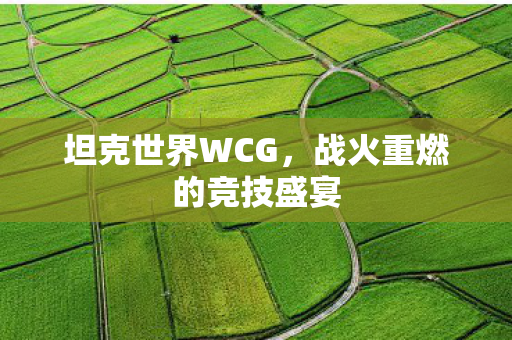 坦克世界WCG,战火重燃的竞技盛宴 坦克世界WCG,战火重燃的竞技盛宴