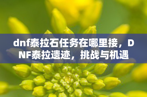 dnf泰拉石任务在哪里接,DNF泰拉遗迹,挑战与机遇并存的神秘之地 dnf泰拉石任务在哪里接,DNF泰拉遗迹,挑战与机遇并存的神秘之地