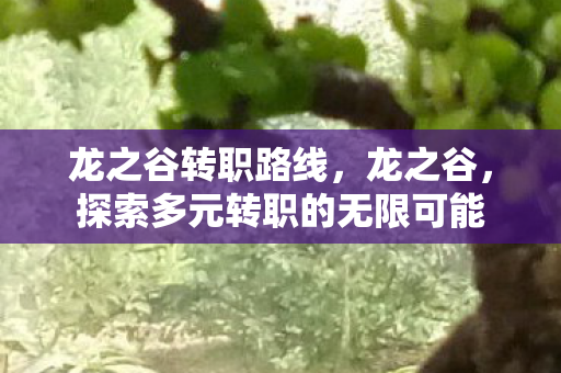 龙之谷转职路线,龙之谷,探索多元转职的无限可能 龙之谷转职路线,龙之谷,探索多元转职的无限可能