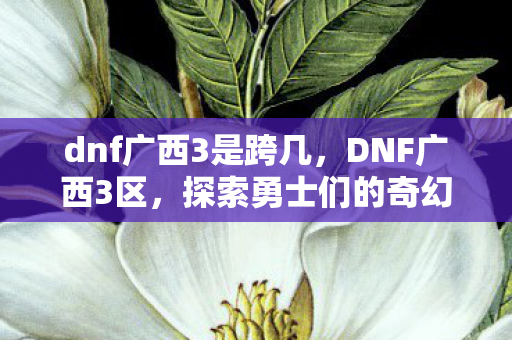 dnf广西3是跨几，DNF广西3区，探索勇士们的奇幻世界