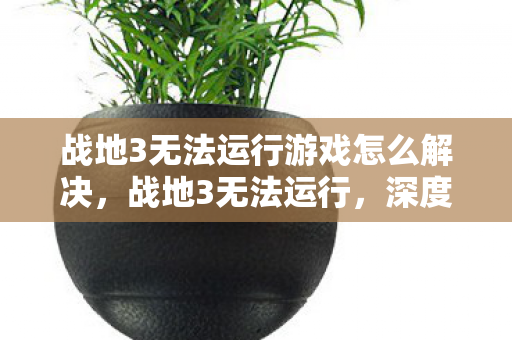 战地3无法运行游戏怎么解决,战地3无法运行,深度解析游戏运行问题 战地3无法运行游戏怎么解决,战地3无法运行,深度解析游戏运行问题