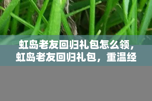 虹岛老友回归礼包怎么领,虹岛老友回归礼包,重温经典,再续前缘 虹岛老友回归礼包怎么领,虹岛老友回归礼包,重温经典,再续前缘