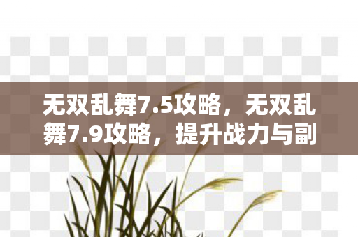 无双乱舞7.5攻略,无双乱舞7.9攻略,提升战力与副本通关技巧 无双乱舞7.5攻略,无双乱舞7.9攻略,提升战力与副本通关技巧