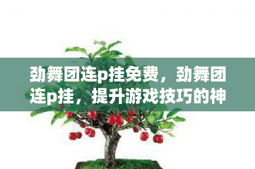 劲舞团连p挂免费,劲舞团连p挂,提升游戏技巧的神秘工具 劲舞团连p挂免费,劲舞团连p挂,提升游戏技巧的神秘工具