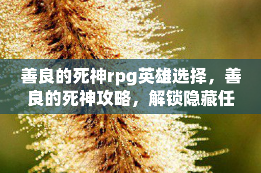 善良的死神rpg英雄选择,善良的死神攻略,解锁隐藏任务与角色发展策略 善良的死神rpg英雄选择,善良的死神攻略,解锁隐藏任务与角色发展策略