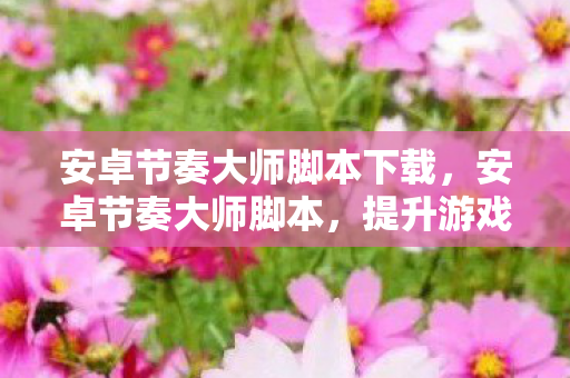 安卓节奏大师脚本下载，安卓节奏大师脚本，提升游戏体验的利器