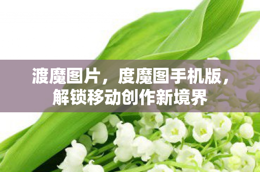 渡魔图片,度魔图手机版,解锁移动创作新境界 渡魔图片,度魔图手机版,解锁移动创作新境界