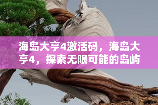 海岛大亨4激活码,海岛大亨4,探索无限可能的岛屿建设之旅 海岛大亨4激活码,海岛大亨4,探索无限可能的岛屿建设之旅