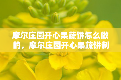 摩尔庄园开心果蔬饼怎么做的,摩尔庄园开心果蔬饼制作秘籍 摩尔庄园开心果蔬饼怎么做的,摩尔庄园开心果蔬饼制作秘籍