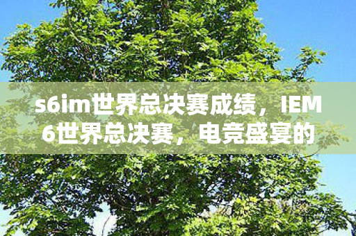 s6im世界总决赛成绩,IEM6世界总决赛,电竞盛宴的荣耀与梦想 s6im世界总决赛成绩,IEM6世界总决赛,电竞盛宴的荣耀与梦想