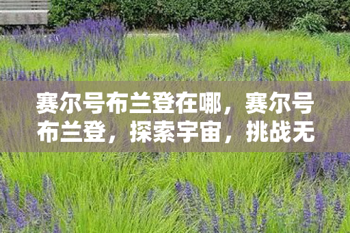 赛尔号布兰登在哪，赛尔号布兰登，探索宇宙，挑战无限